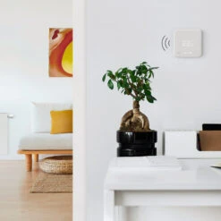 Tado° Funk-Temperatursensor Mit Standfuß -Beleuchtung Rabatte 10009889 7