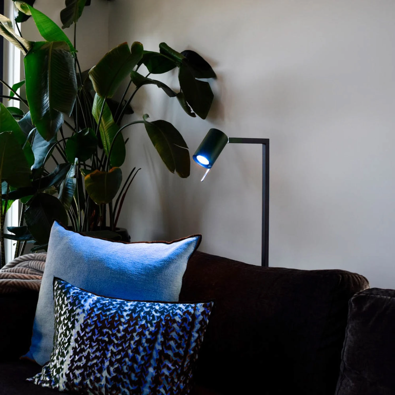 Calex Smart LED-Reflektor GU10 4,9W RGB CCT 2er 4 Calex Smart LED-Reflektor GU10 4,9W RGB CCT 2er – Bild 2