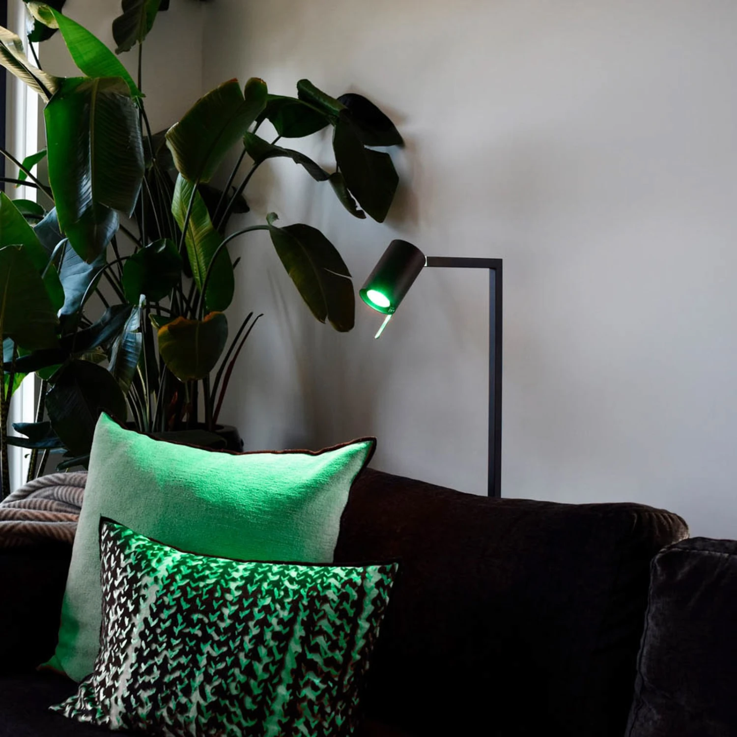 Calex Smart LED-Reflektor GU10 4,9W RGB CCT 2er 5 Calex Smart LED-Reflektor GU10 4,9W RGB CCT 2er – Bild 3