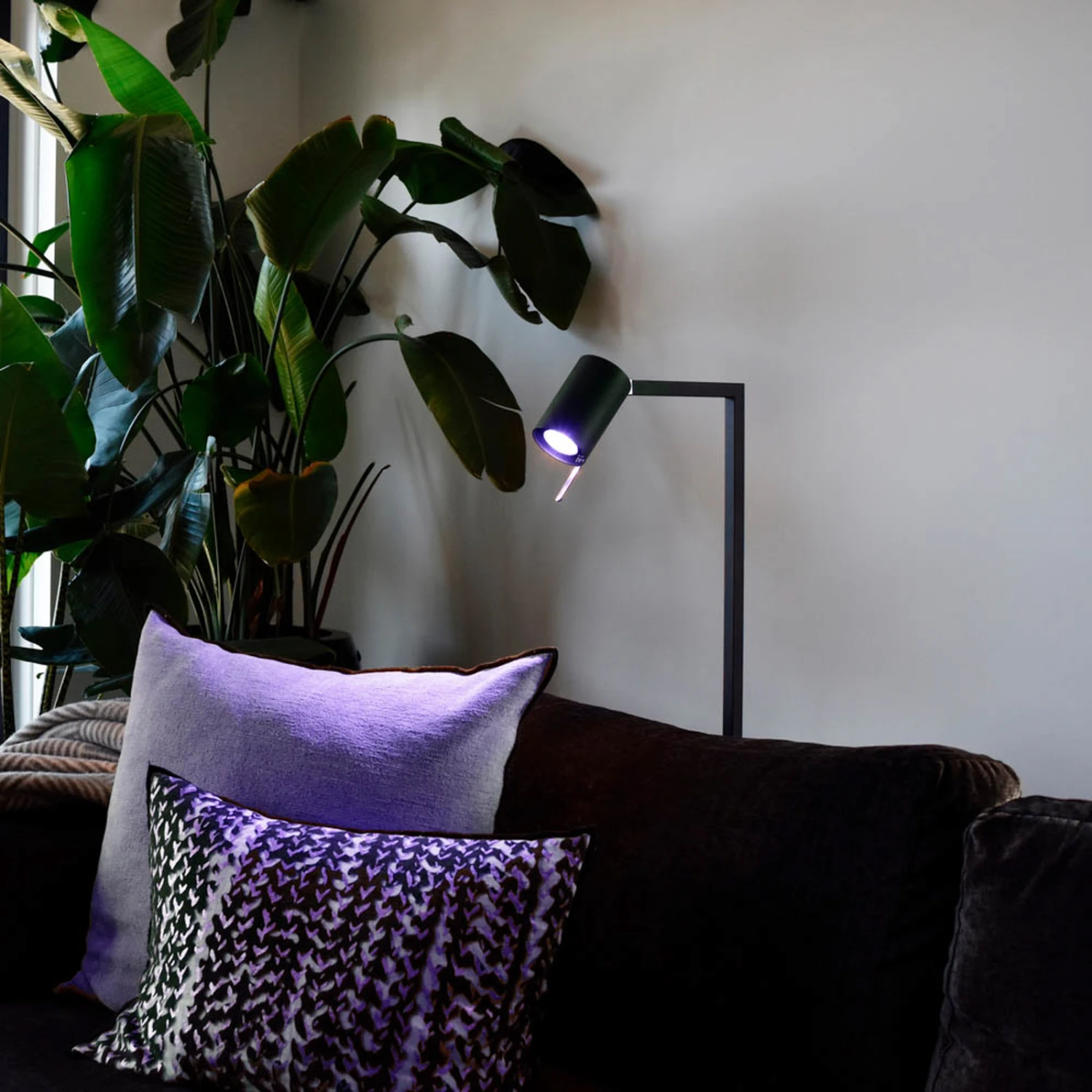 Calex Smart LED-Reflektor GU10 4,9W RGB CCT 2er 8 Calex Smart LED-Reflektor GU10 4,9W RGB CCT 2er – Bild 6