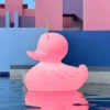 LED-Designleuchte DUCK-DUCK XL Für Außen In Pink 1 LED-Designleuchte DUCK-DUCK XL Für Außen In Pink -Beleuchtung Rabatte 10016419