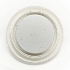 LED-Außenwandleuchte Berta Ø 27,5cm Weiß 11W CCT -Beleuchtung Rabatte 3538214 3