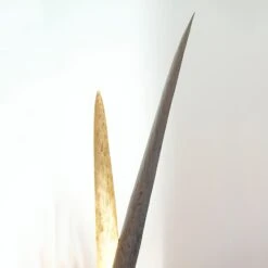 Palustre - Eine Schmückende Stehleuchte -Beleuchtung Rabatte 4512501 2