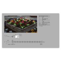 LEDVANCE SMART+ WiFi Garden Dot LED-Spot 18er-Set -Beleuchtung Rabatte 6106491 6