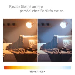 Müller Licht Tint LED-Lampe Retro Gold E27 5,5W -Beleuchtung Rabatte 6520422 5
