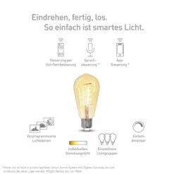 Müller Licht Tint LED-Lampe Retro Gold E27 5,5W -Beleuchtung Rabatte 6520422 6