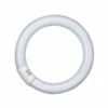 OSRAM G10q 32W 840 Lumilux T9C Leuchtstoffring -Beleuchtung Rabatte 7260728
