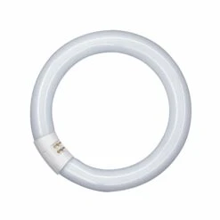 OSRAM G10q 32W 865 Lumilux T9C Leuchtstoffring