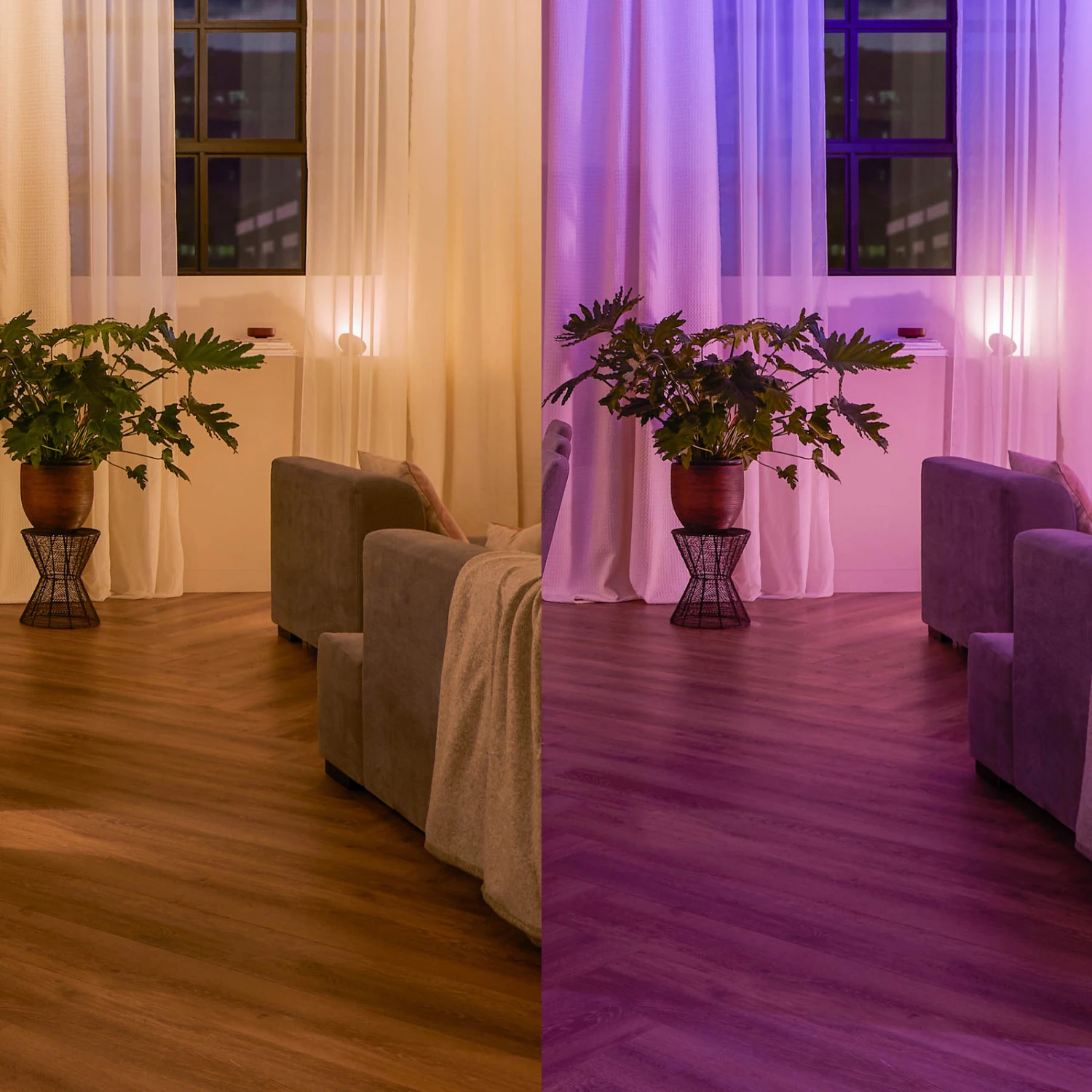 Philips Hue Wandschalter-Modul 7 Philips Hue Wandschalter-Modul – Bild 5
