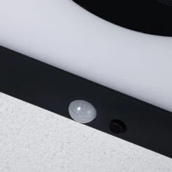 Paulmann LED-Solarpanel Taija Mit Sensor 30 X 60cm -Beleuchtung Rabatte 7602143 6