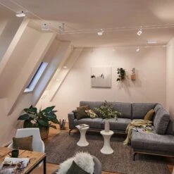 Paulmann Frame LED-Seilsystem 5fl. Weiß Matt 19 Paulmann Frame LED-Seilsystem 5fl. Weiß Matt -Beleuchtung Rabatte 7602845 8