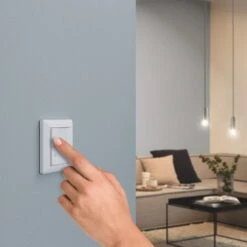 Paulmann Wandschalter ZigBee 2-fach On/Off/Dimmer -Beleuchtung Rabatte 7602879 4