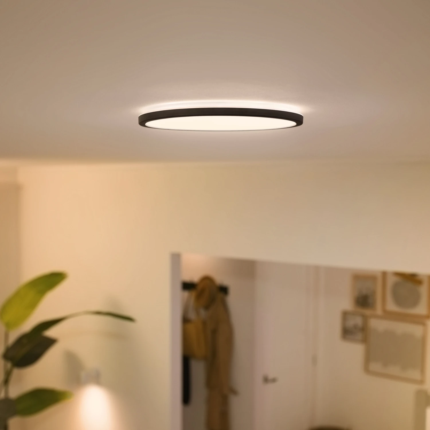 WiZ SuperSlim LED-Deckenleuchte CCT Ø24cm Schwarz 4 WiZ SuperSlim LED-Deckenleuchte CCT Ø24cm Schwarz – Bild 2