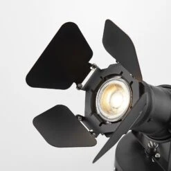 Wandleuchte Tilen Im Scheinwerfer-Look -Beleuchtung Rabatte 9624399 6